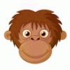 Bild von Raterin85