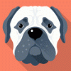 Bild von Puzzle-Star-524